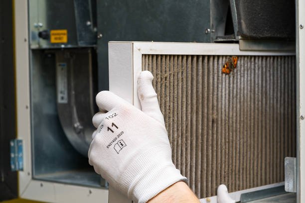Best Home Air Vent Cleaning  in Ness City, KS